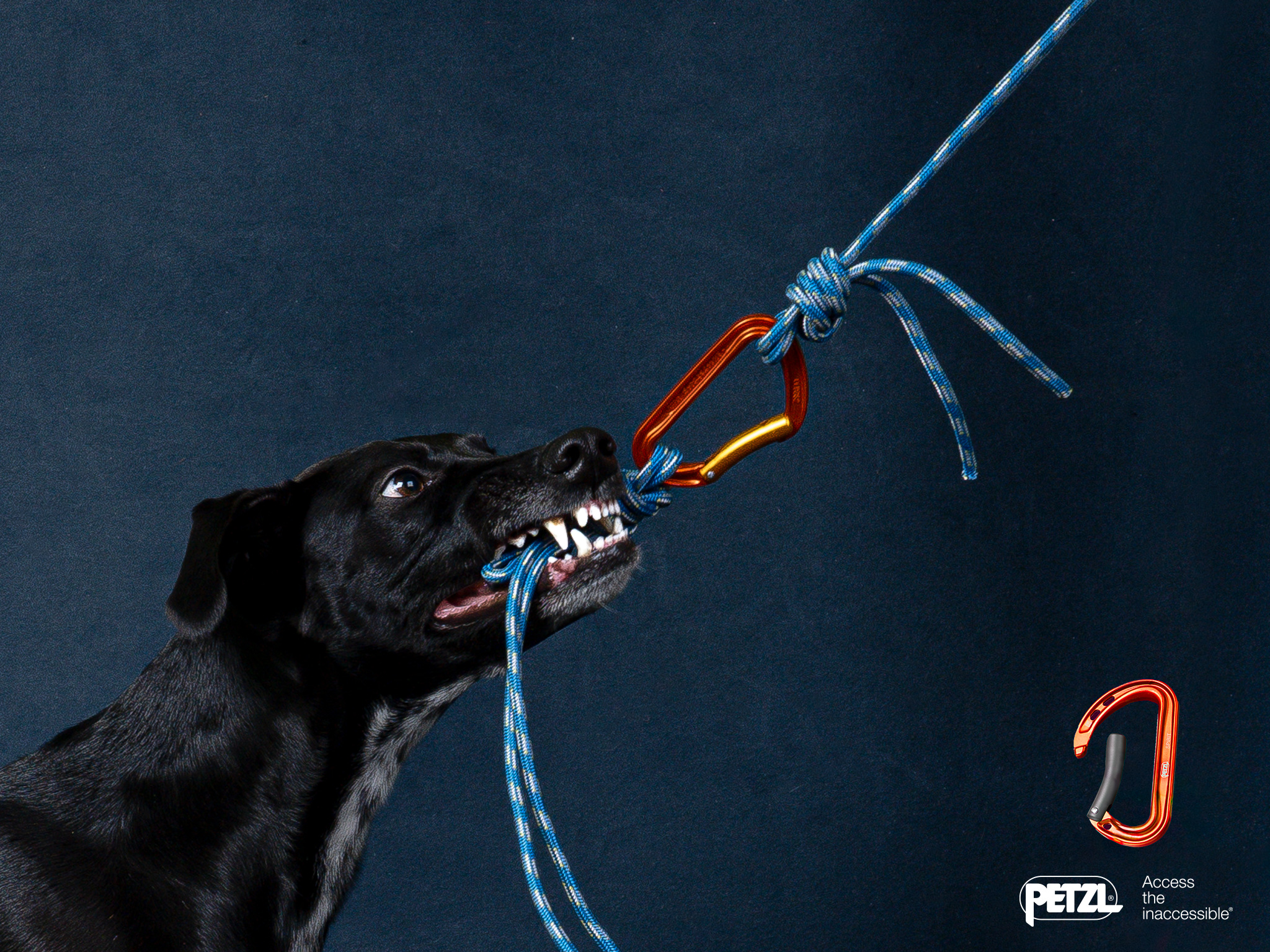 Petzl